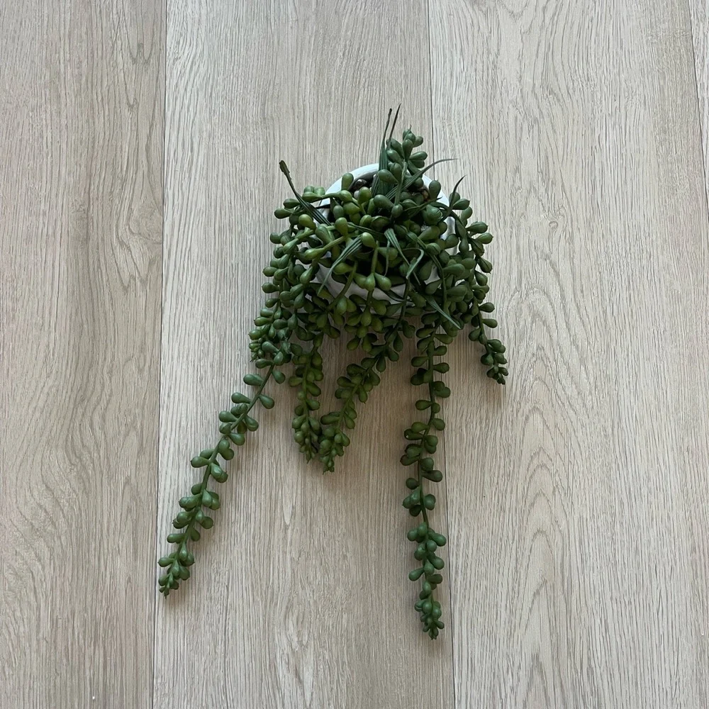 Faux Potted String of Pearls Succulent